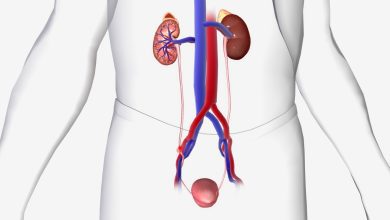 Ureterorrenolitotripsia rígida e flexível