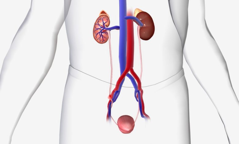 Ureterorrenolitotripsia rígida e flexível