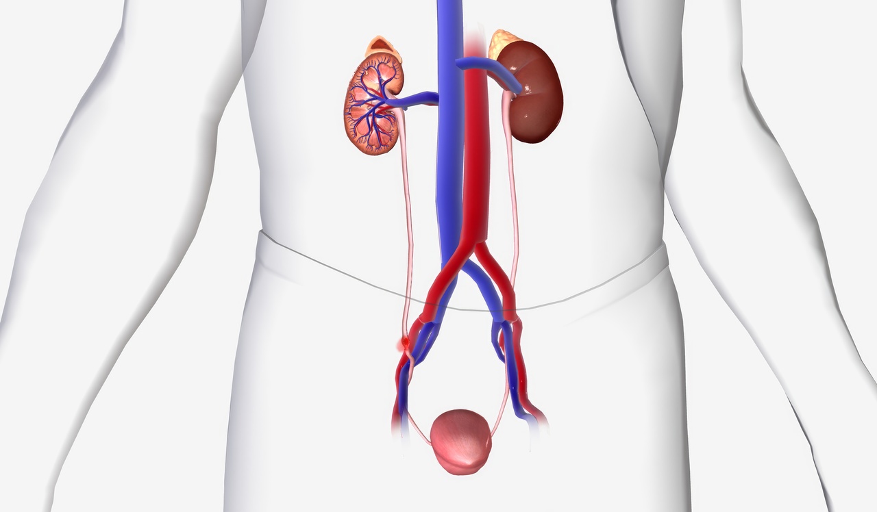 Ureterorrenolitotripsia rígida e flexível