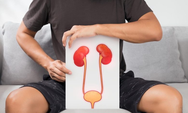 Você conhece as principais doenças do trato urinário?