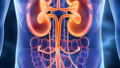 Você sabia que o câncer renal é o 3° tumor urológico mais comum. Saiba mais!